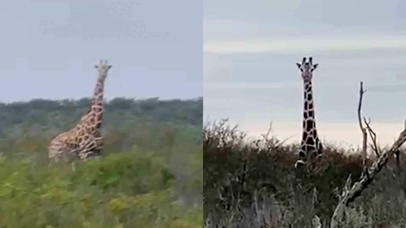 ec9e9469_19ff_4067_be2a_19497419b562_f93391b89e