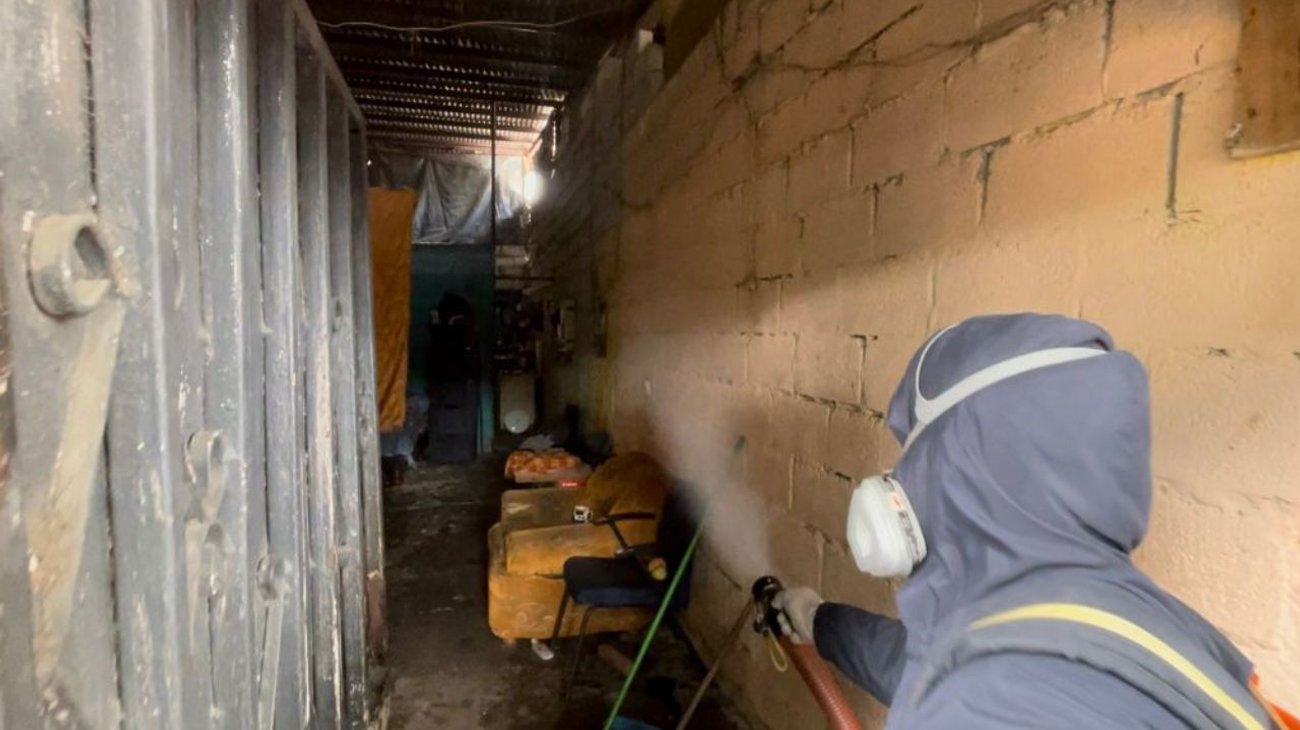 Ecuador confirma cerca de 11.500 mil casos de dengue