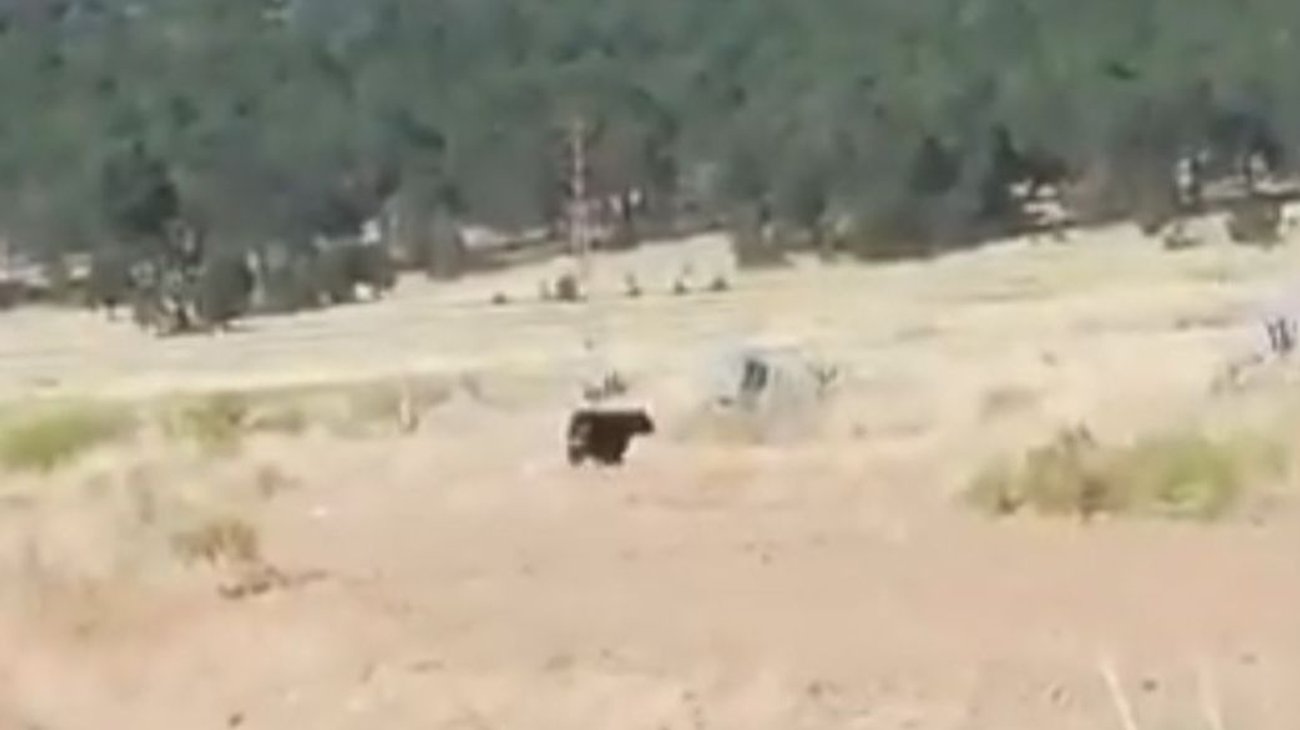 ed766654_2f9b_494e_89de_6254f05ea9f5_053b7ef030