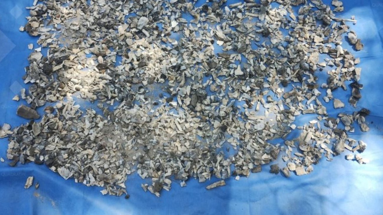 Hallan más de 100 restos óseos y 30 piezas dentales en Acapulco