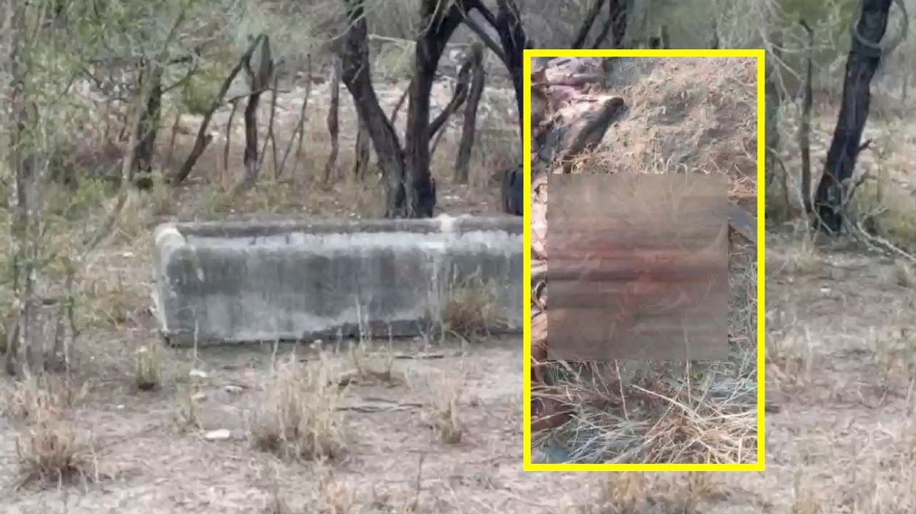 Roban ganado en ejidos de Victoria y Villa de Casas 