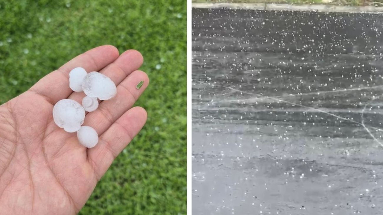 el_horizonte_info7_mx_1559f453de