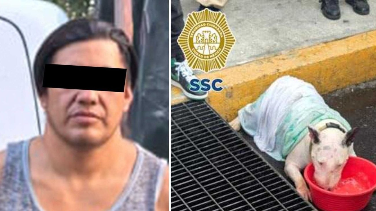 Arrestan a hombre por encerrar a sus perros; uno falleció