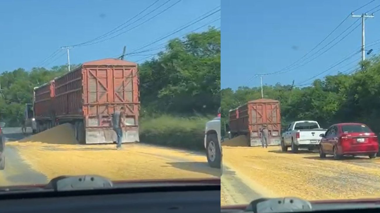 Se cae carga de maíz en Carretera Nacional en Montemorelos