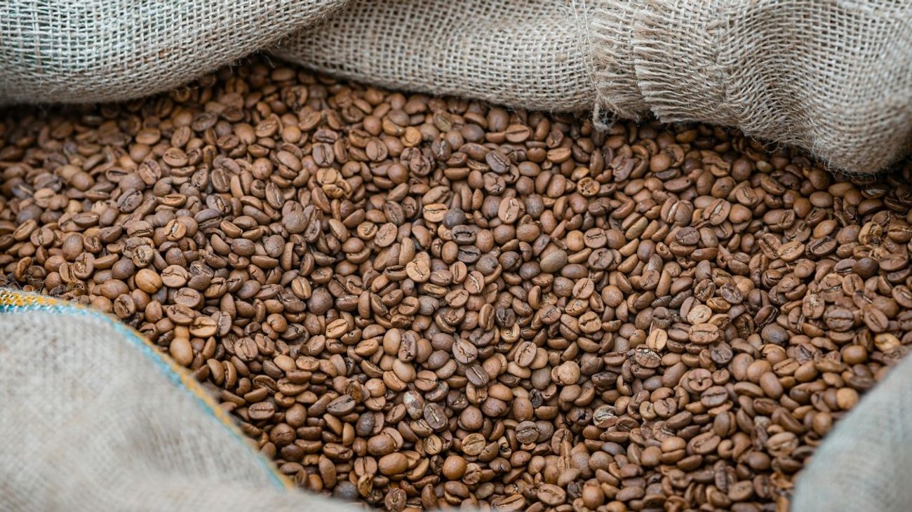 Desmantelan red que exportaba café para enviar cocaína a Europa