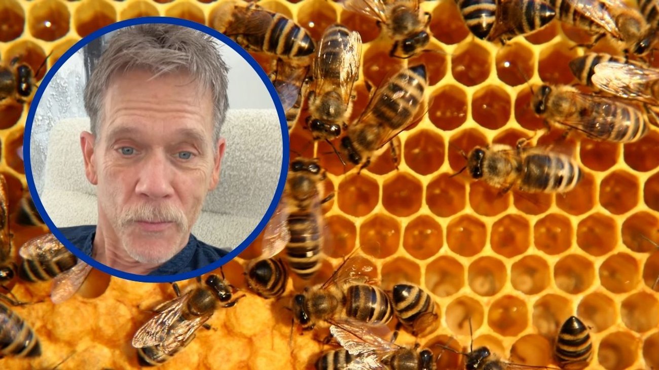 Kevin Bacon es atacado por un enjambre de abejas
