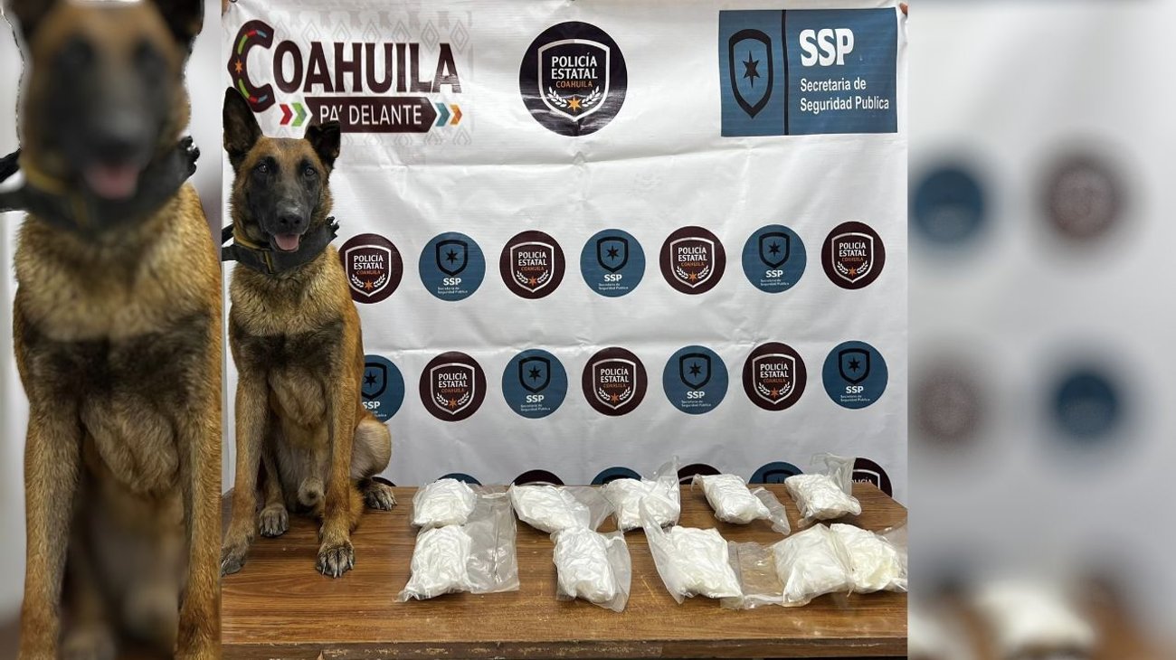 Elemento canino de la Policía Estatal detecta metanfetamina