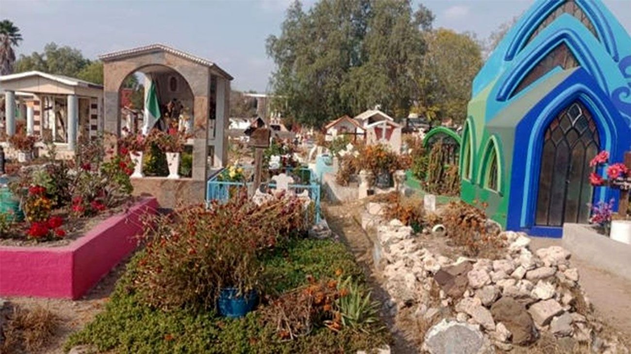 Perros pelan por 'comida'; era el cuerpo de un bebé