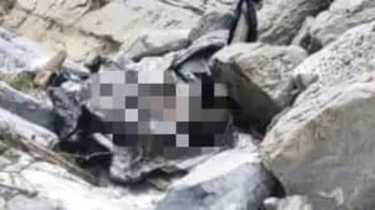 Hallan cuerpo en avanzado estado de descomposición en NL