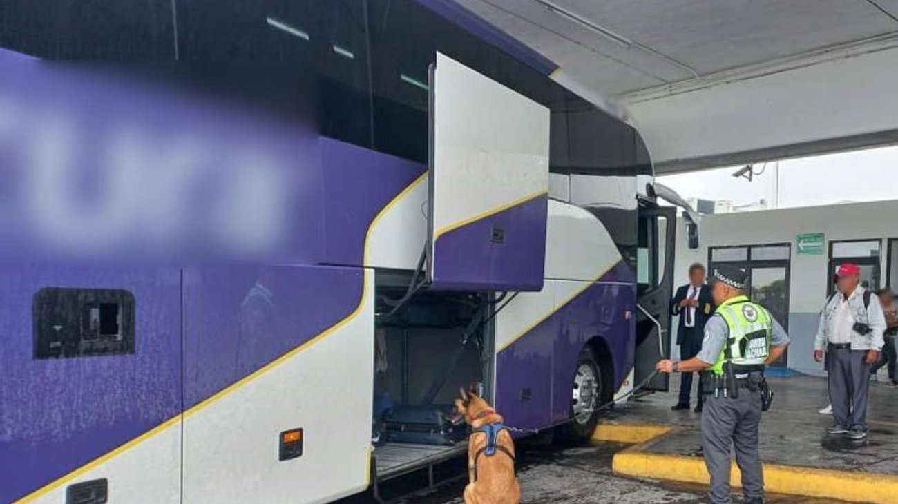 Canino encuentra maleta con droga en central de autobuses