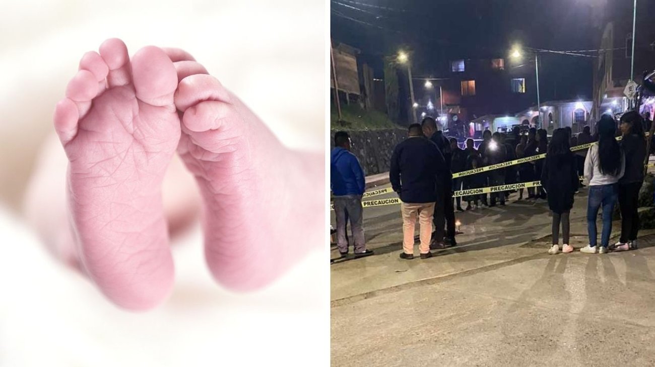 Hallan restos de bebé en Veracruz; era devorado por perros