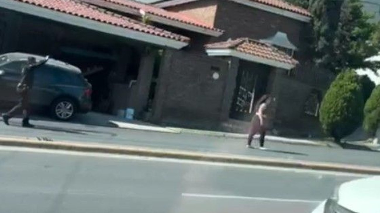 estado_de_salud_chica_leones_atropello_1481c49d20