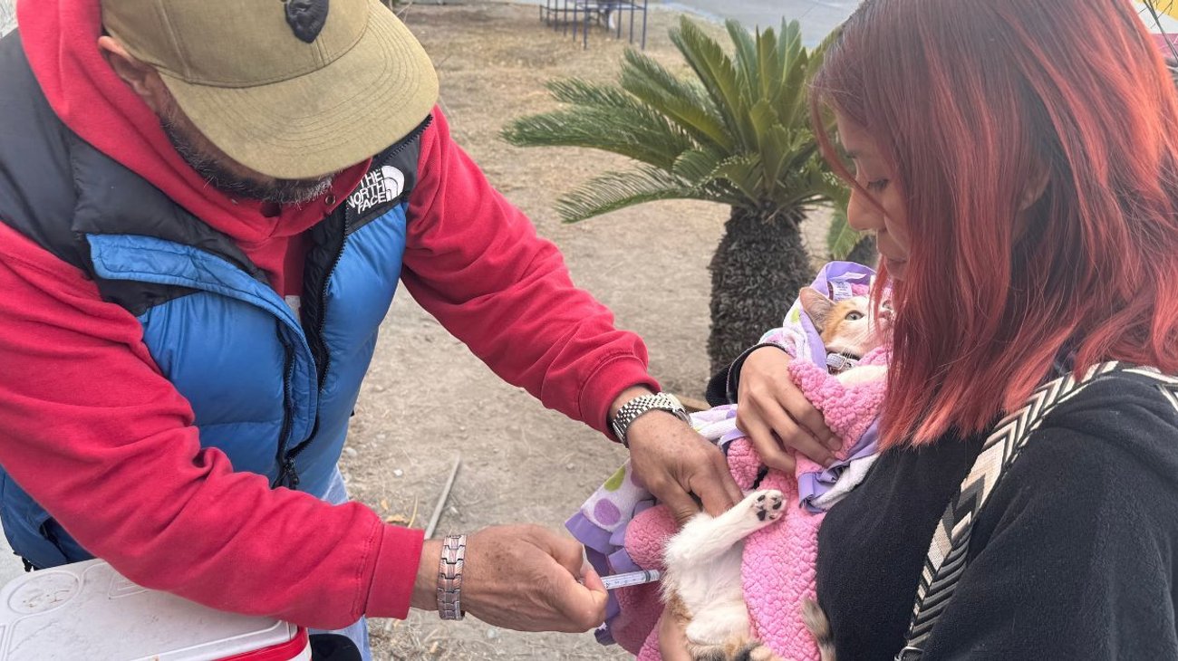 esterilizan_90_mascotas_ramos_arizpe_9fedf8336a