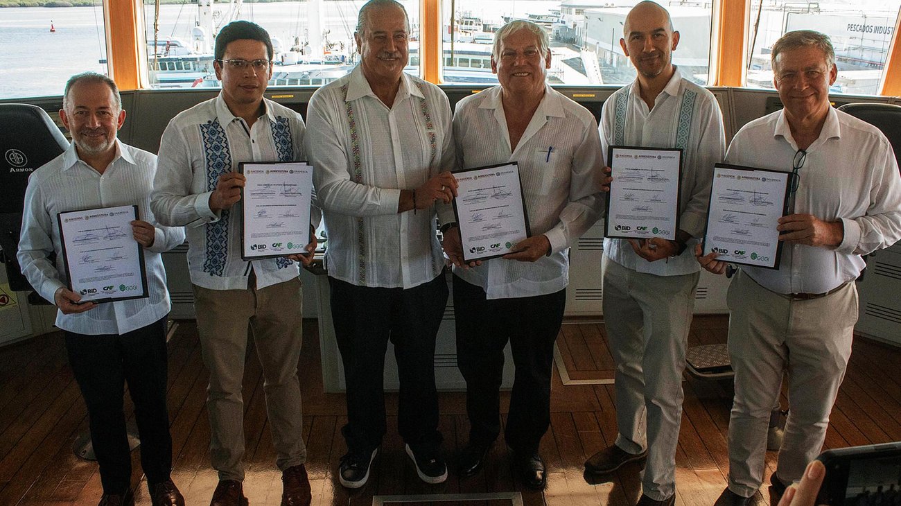 Diseñan técnica para combatir sargazo y aprovechar macroalga