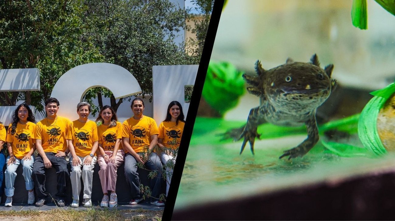 ev_ajolote_002cdcf108