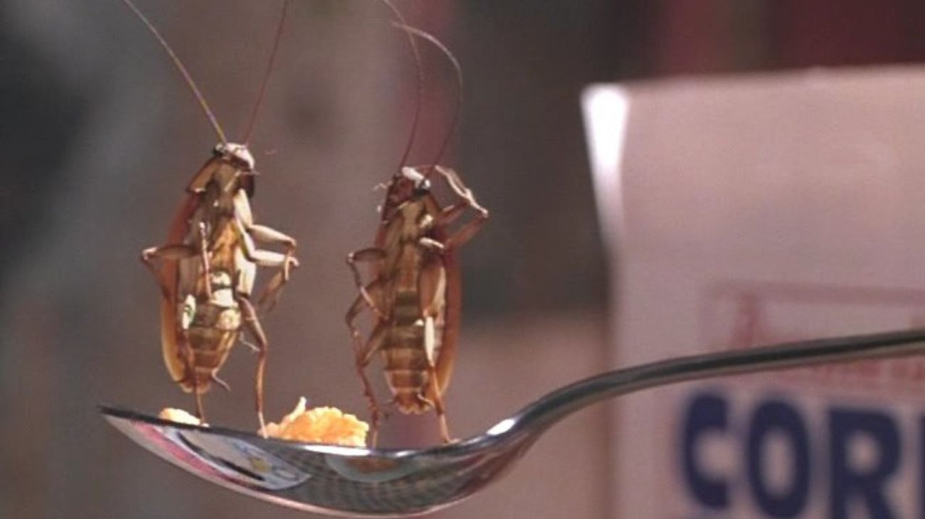 Hombre intenta matar a cucaracha y provoca explosión