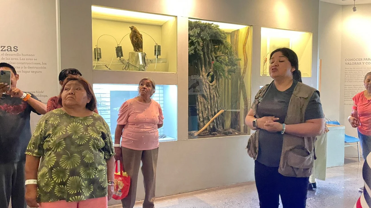 f00fd751_89a8_4874_a000_ed0ff393b281_d805423edb