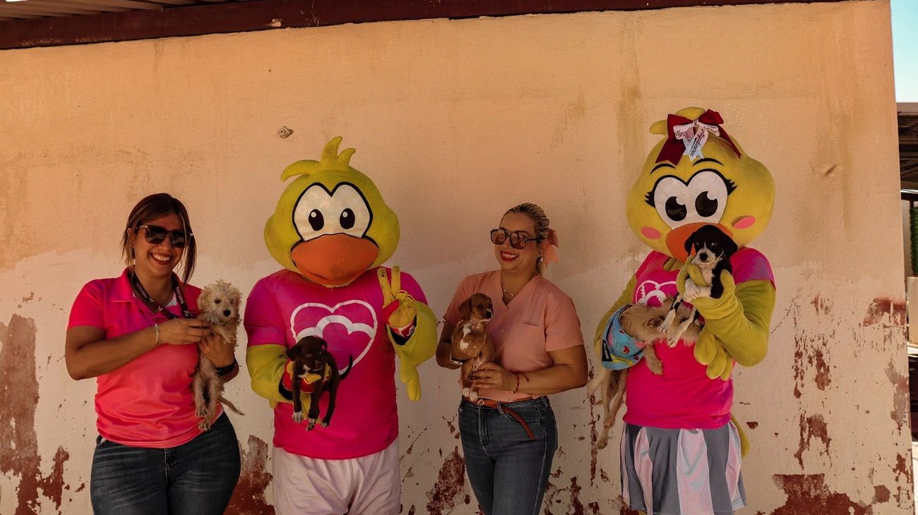 Algodoneros donan alimento a perros de 'Control Canino'