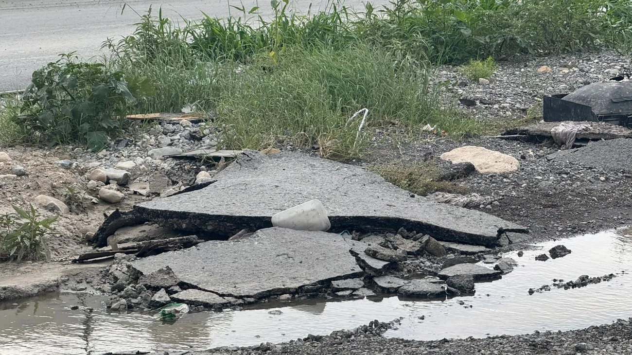 f8423b50_45ed_40aa_b432_fbe2a6fb38a6_c150998cbd