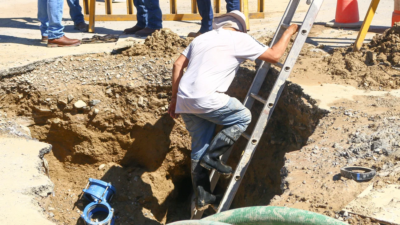 f8581da4_0b9e_4b88_a99f_e283ce5aba2d_72a4ddf938