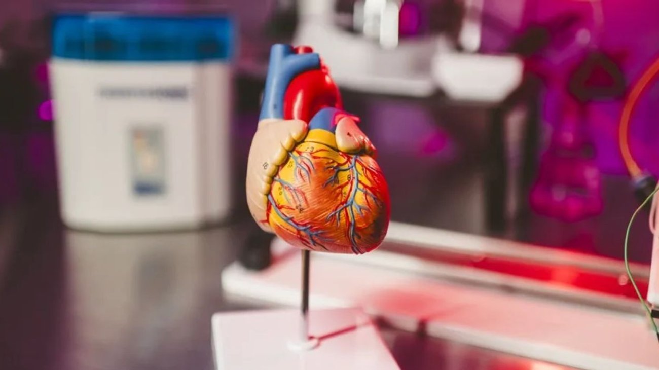 fallecimientos_enfermedades_cardiovasculares_6944dadfcb