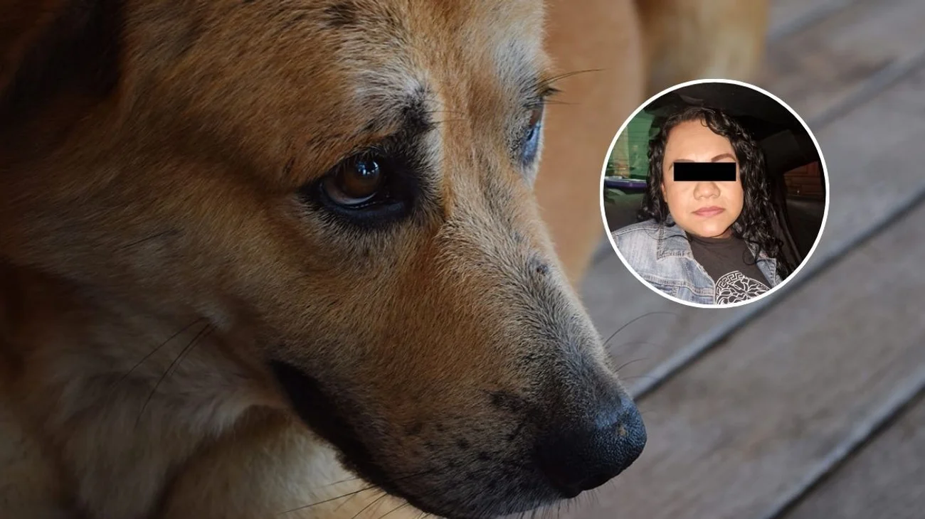 Detienen a falsa veterinaria acusada de matar animales en Torreón