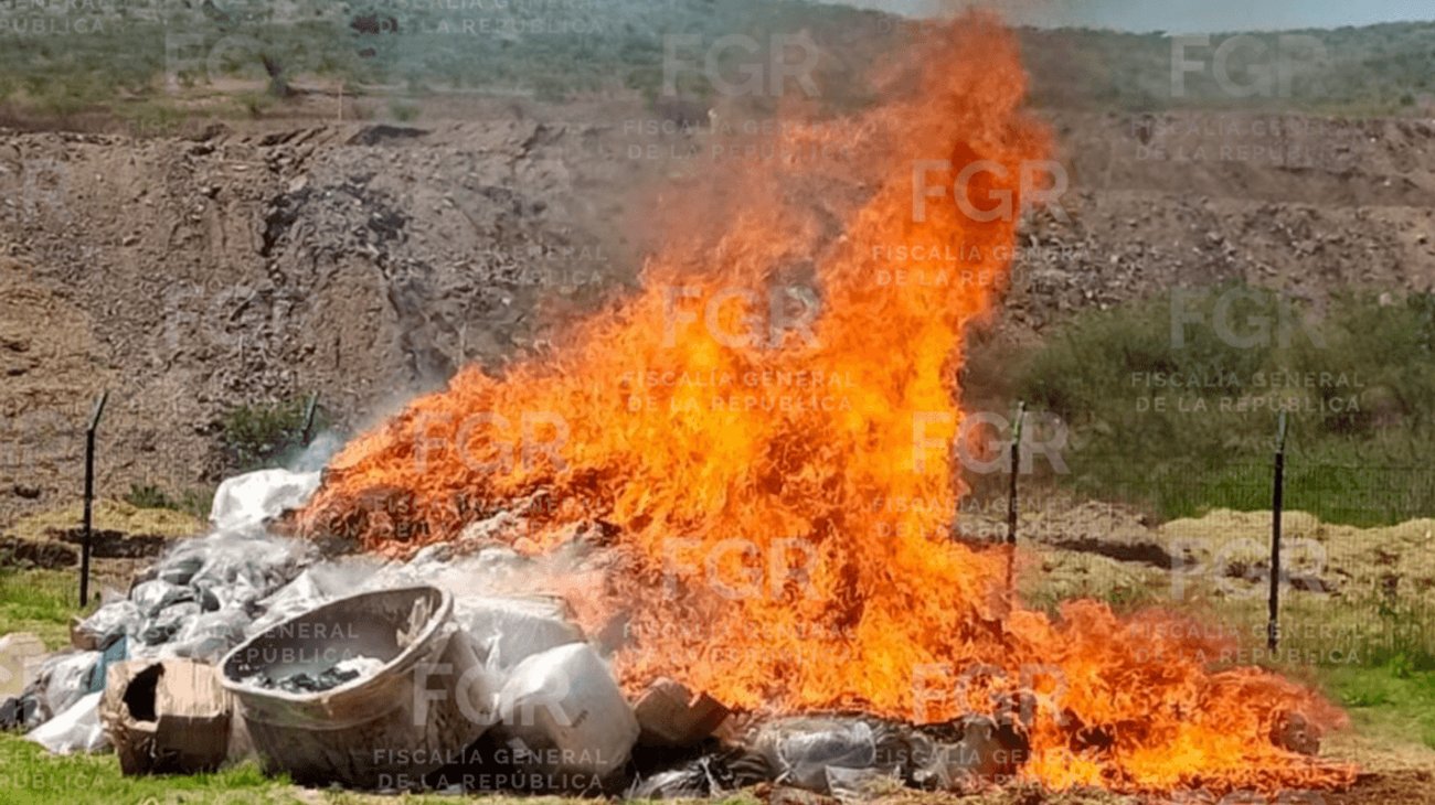 Destruyen más de 3 toneladas de narcóticos en Michoacán