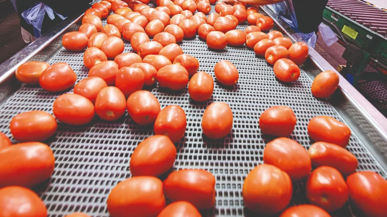 finanzas_aranceles_tomates_2a77f54932