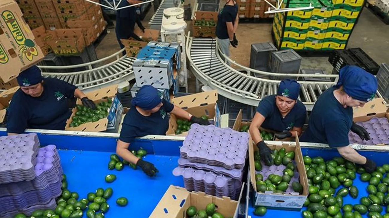 finanzas_empleos_f4d4886f87