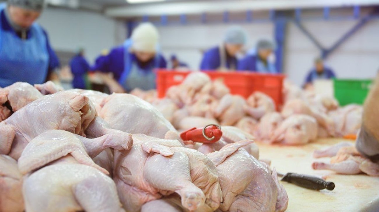 finanzas_pollo_c741792261