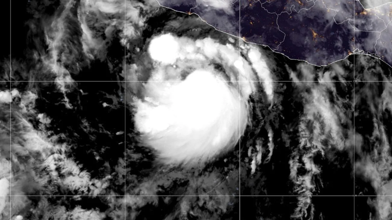 flossie_categoria_2_e89a292cfe