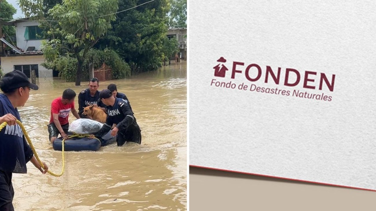 fonden_sheinbaum_bdc39cff19