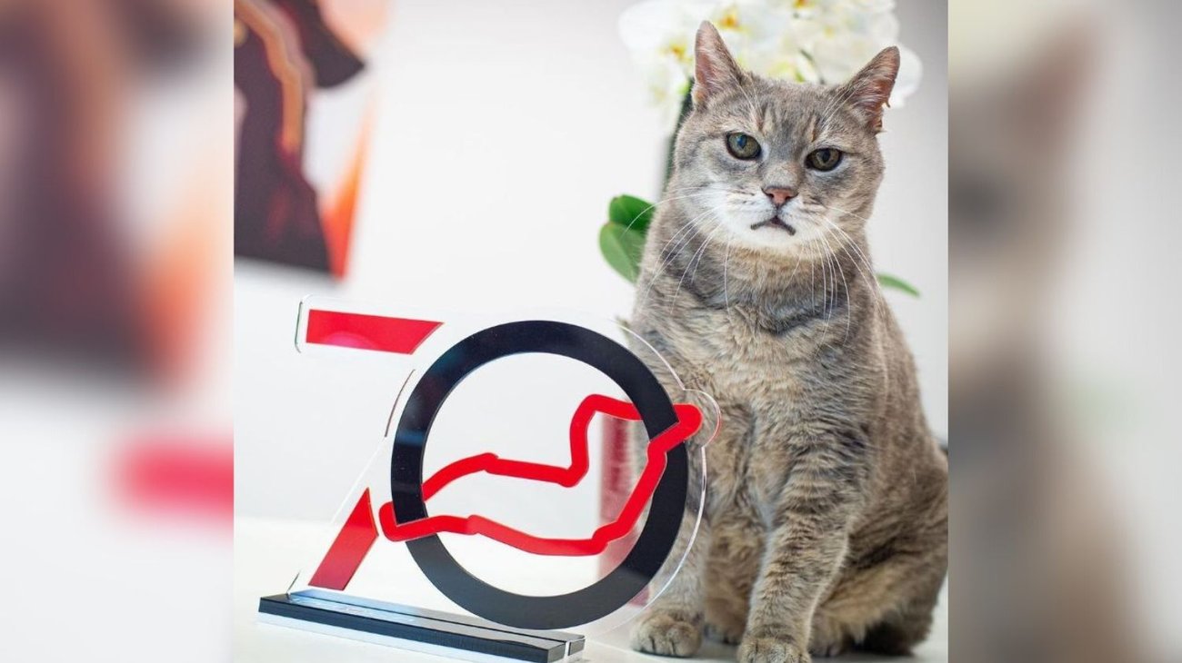 formulino_352bf456e0