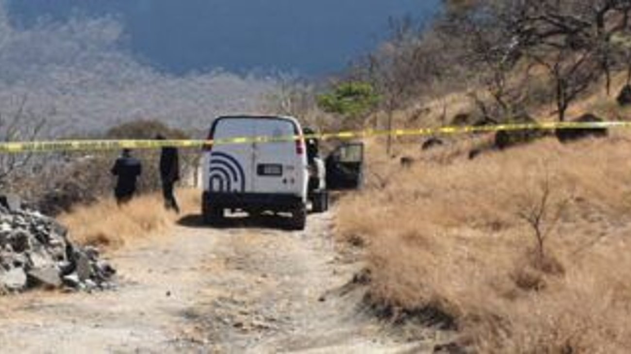 Hallan 7 fosas comunes humanas gracias a perros callejeros