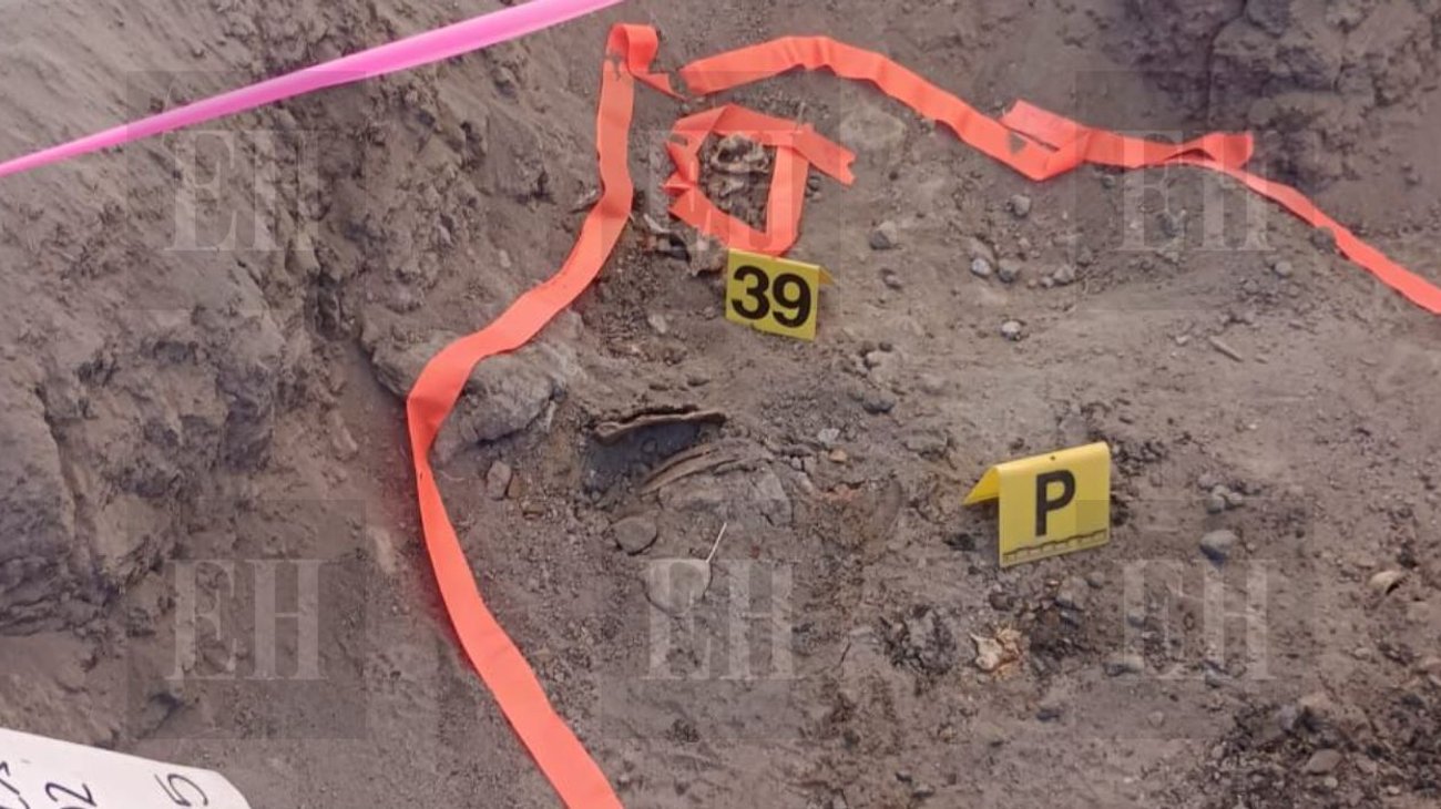 fosa_coahuila_ccacd98430