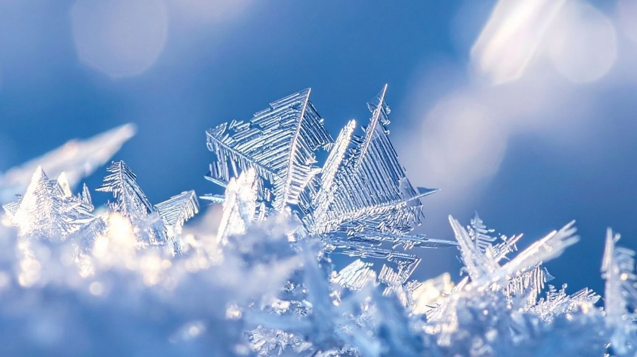 Protección Civil exhorta a resguardarse de las bajas temperaturas