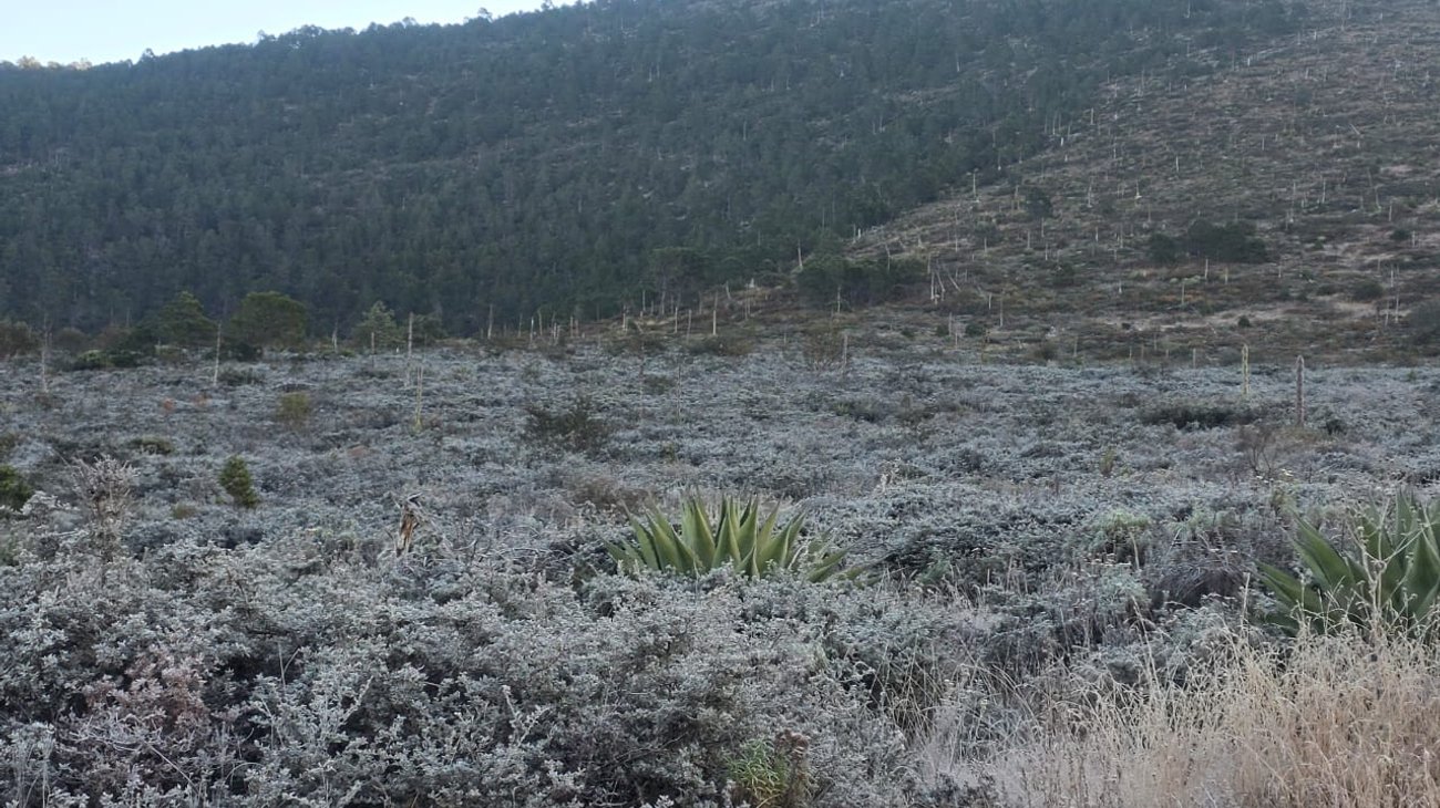 galeana_frio_5c9b86a642