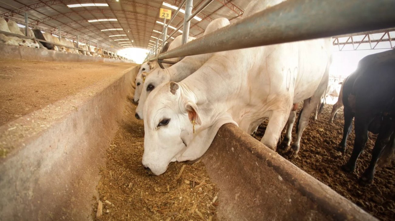 Coahuila blinda su frontera ante amenaza del gusano barrenador