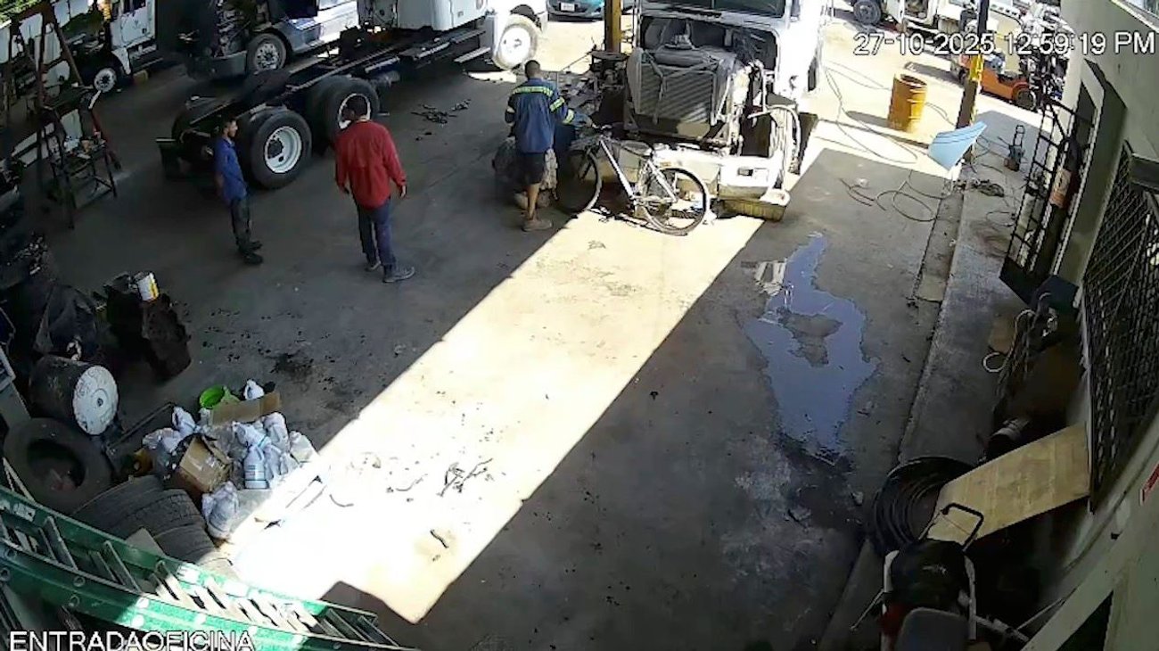 gato_bodega_apodaca_f753cf7a62