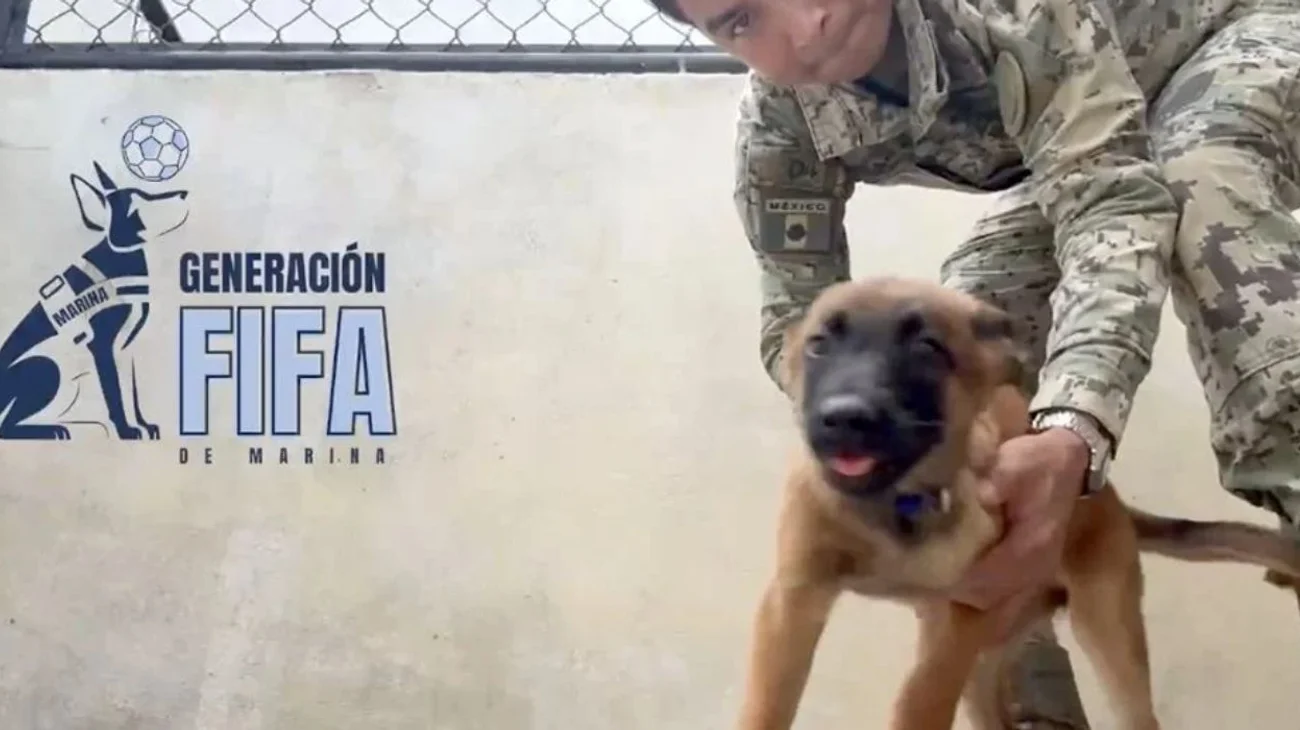 generacion_fifa_semar_88b9ac5264