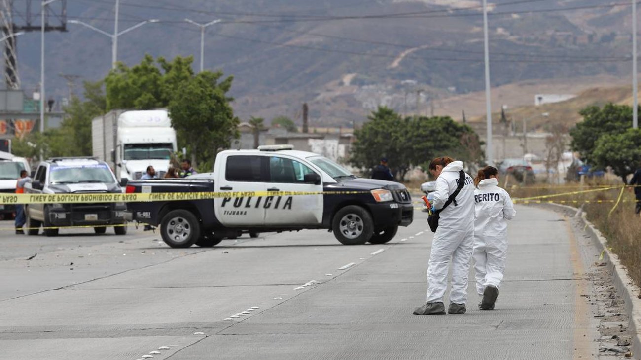 Hallan a perro paseando con cabeza humana en su hocico