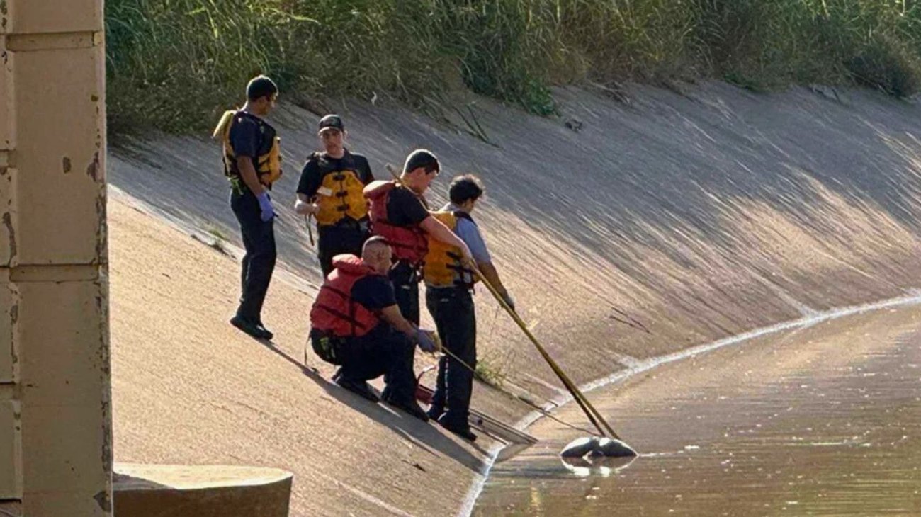 ¿Existe un asesino serial en Houston? Autoridades responden