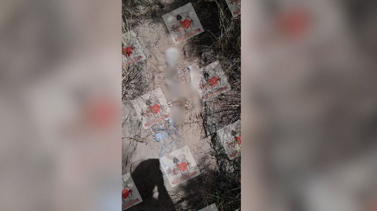 Hallan siete fosas más con restos humanos en Miguel Alemán