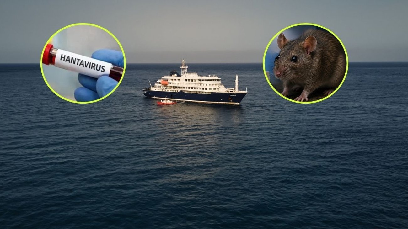 hantavirus_crucero_04b92f5d30
