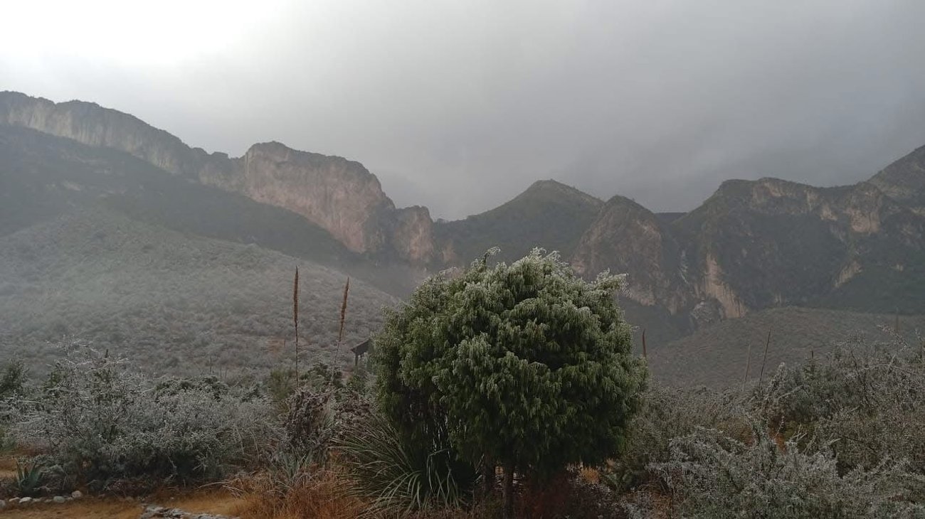 Cubren heladas el Cañón de San Lorenzo tras paso del frente frío