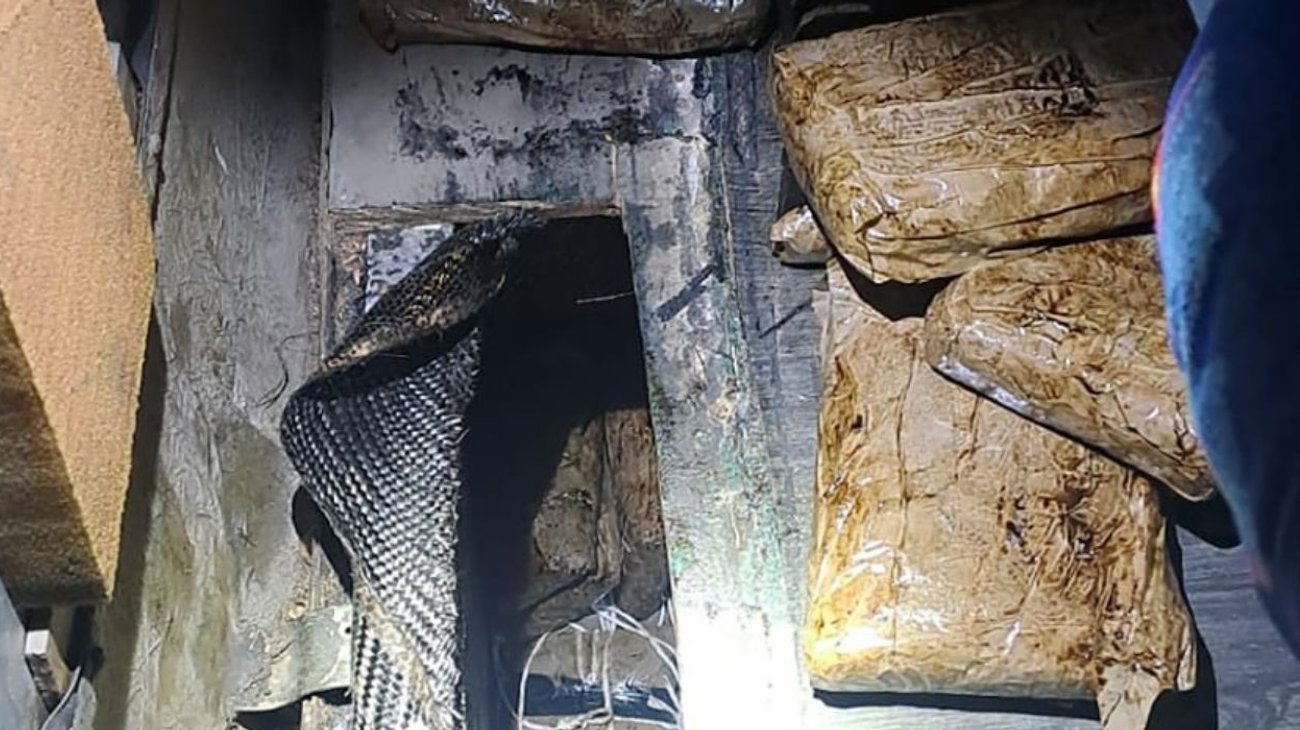 heroina_sonora_db70dc940f