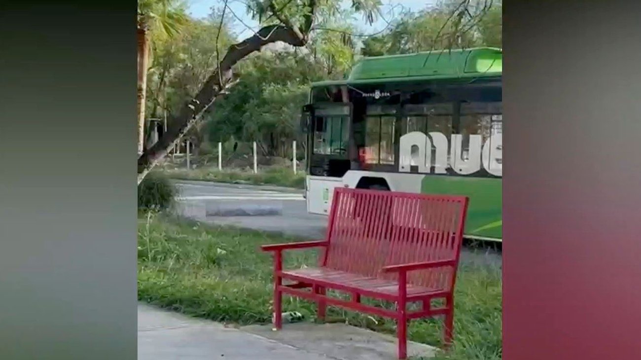 Muere hombre atropellado por camión de ruta Villa Olímpica