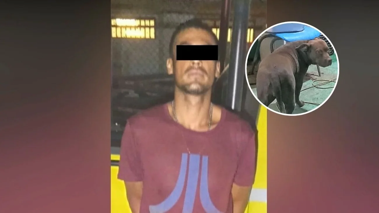 Cae por presuntamente ordenar a su perro atacar a vecina