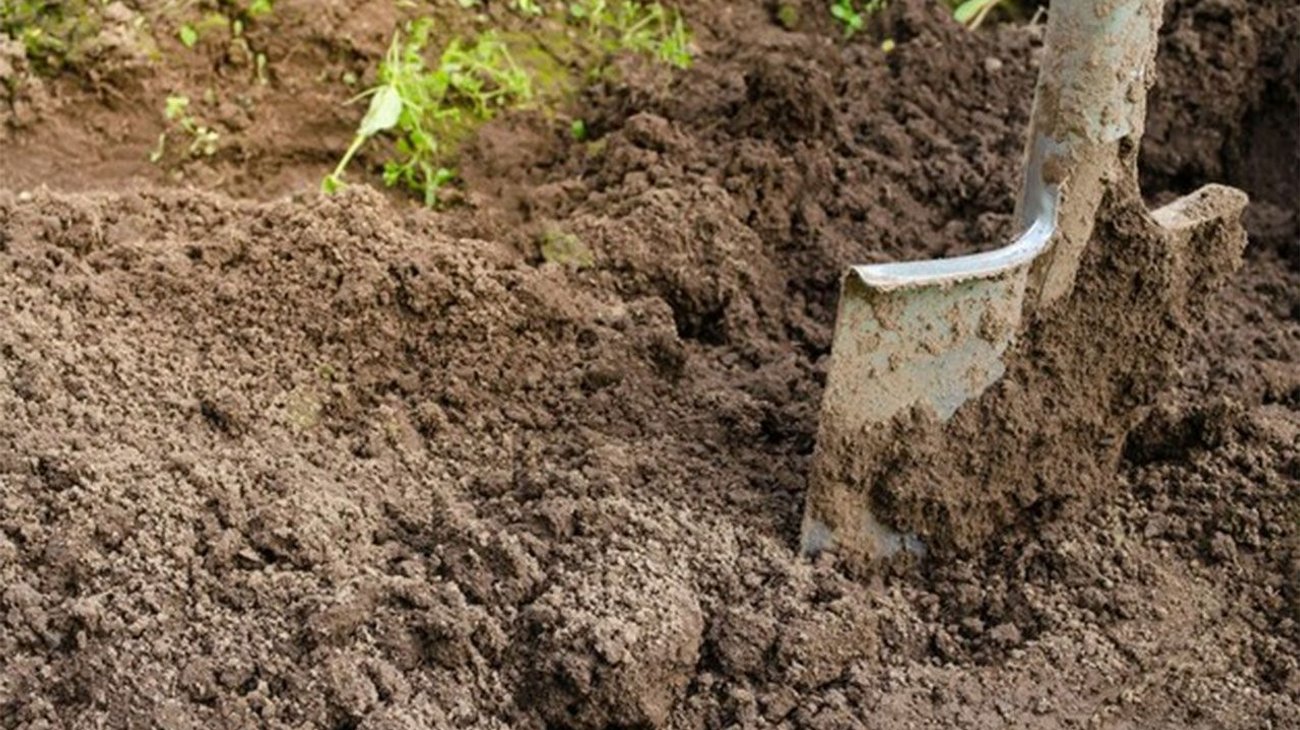 Descubren a hombre cuando enterraba el cuerpo de su madre
