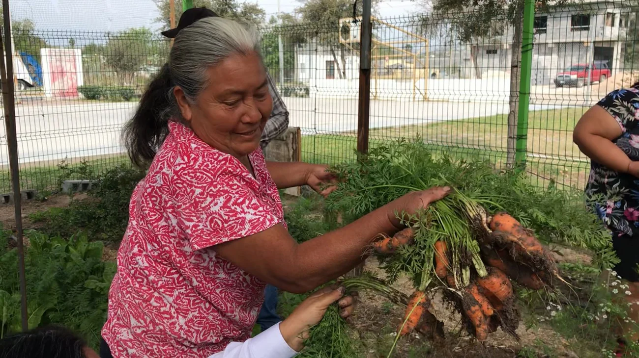 Huertos familiares, alternativa ante el deterioro ambiental